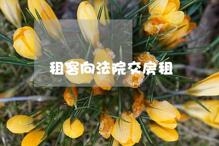 租客向法院交房租 租客向法院交房租