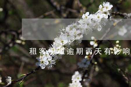 租客房租逾期两天有影响吗 租客房租逾期两天有影响吗