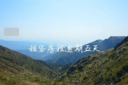 租客房租逾期五天 租客房租逾期五天