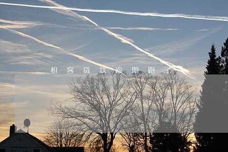租客贷款逾期跑了 租客贷款逾期跑了