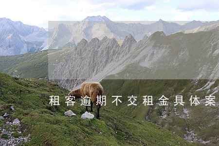 租客逾期不交租金具体案例 租客逾期不交租金具体案例