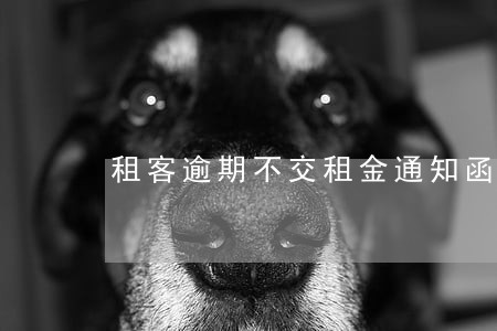 租客逾期不交租金通知函 租客逾期不交租金通知函