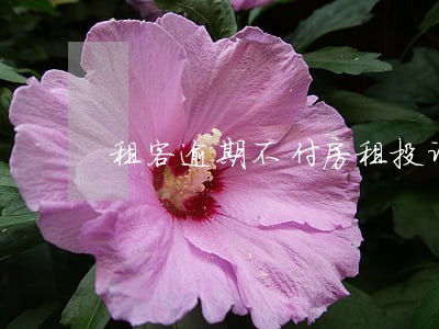 租客逾期不付房租投诉平台 租客逾期不付房租投诉平台