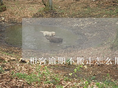 租客逾期不搬走怎么报警 租客逾期不搬走怎么报警