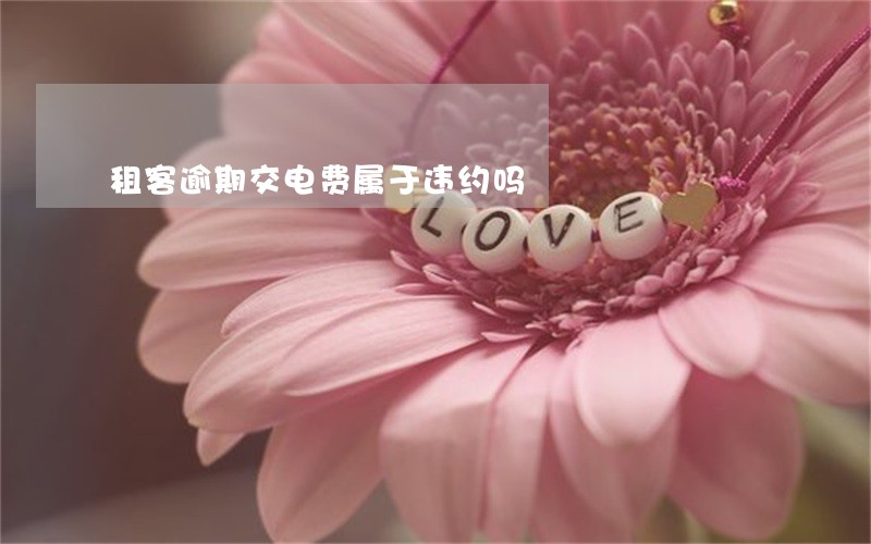 租客逾期交电费属于违约吗 租客逾期交电费属于违约吗