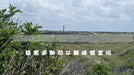 租客逾期可以解除租金吗 租客逾期可以解除租金吗