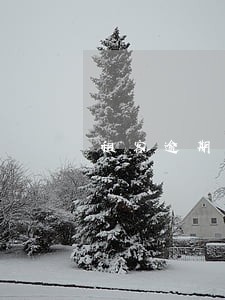 租客逾期缴纳房租 租客逾期缴纳房租