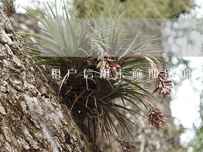 租户信用卡逾期留的地址是我的 租户信用卡逾期留的地址是我的