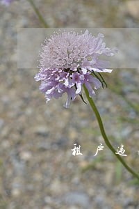 租户违法住改商 租户违法住改商
