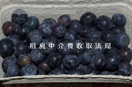 租房中介费收取法规