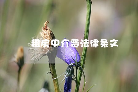 租房中介费法律条文