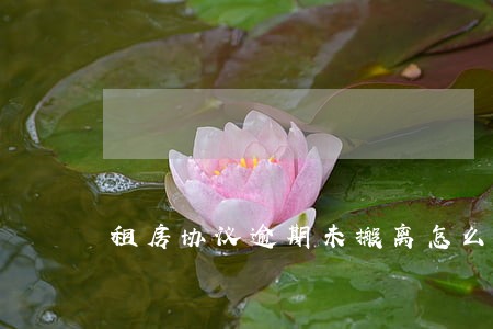 租房协议逾期未搬离怎么写 租房协议逾期未搬离怎么写