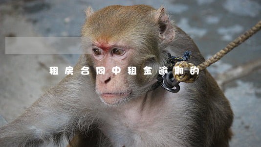 租房合同中租金逾期的 租房合同中租金逾期的
