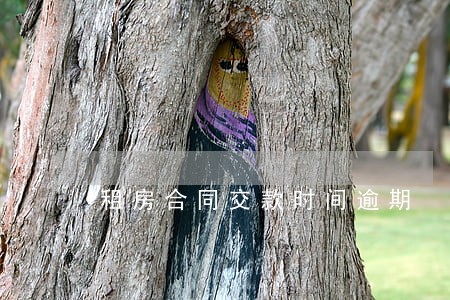 租房合同交款时间逾期 租房合同交款时间逾期