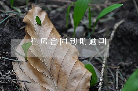 租房合同到期逾期 租房合同到期逾期