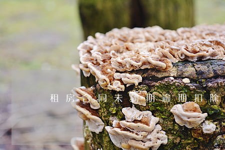 租房合同未到期逾期扣除押金 租房合同未到期逾期扣除押金