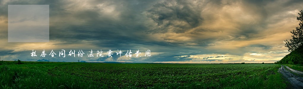 租房合同纠纷法院要评估费用 租房合同纠纷法院要评估费用