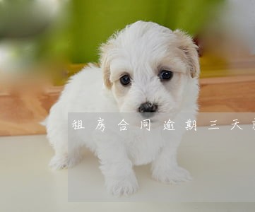 租房合同逾期三天就算毁约 租房合同逾期三天就算毁约