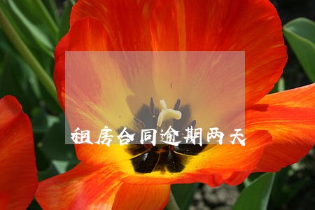 租房合同逾期两天 租房合同逾期两天