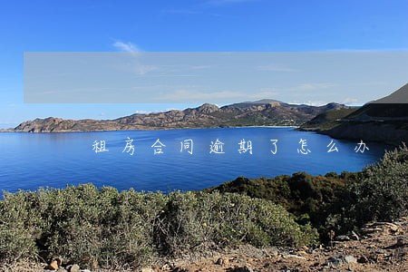 租房合同逾期了怎么办 租房合同逾期了怎么办