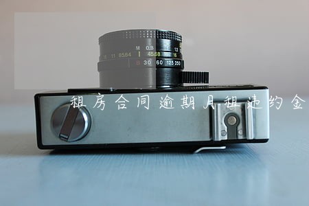 租房合同逾期月租违约金比例 租房合同逾期月租违约金比例