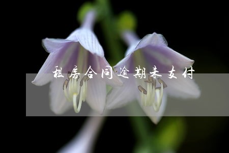 租房合同逾期未支付 租房合同逾期未支付