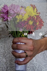 租房合同逾期比例 租房合同逾期比例