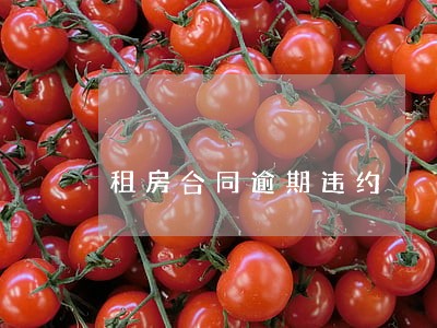 租房合同逾期违约 租房合同逾期违约