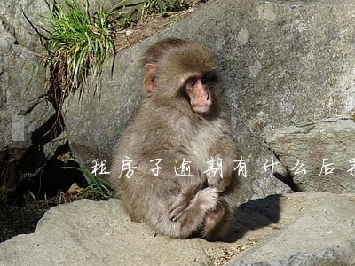 租房子逾期有什么后果 租房子逾期有什么后果