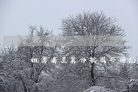 租房房屋装修被损坏诉讼 租房房屋装修被损坏诉讼