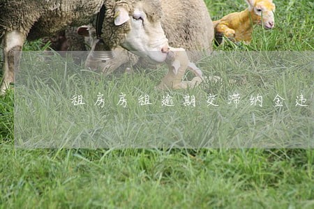租房房租逾期交滞纳金违法吗 租房房租逾期交滞纳金违法吗