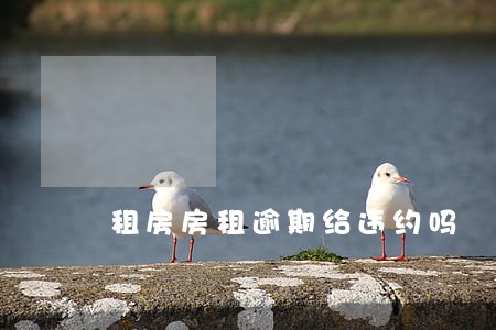 租房房租逾期给违约吗 租房房租逾期给违约吗