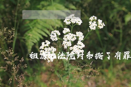 租房把法院封条撕了有罪吗