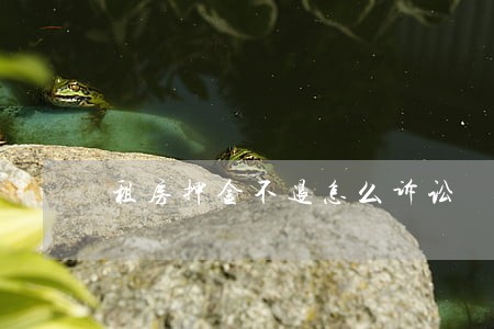 租房押金不退怎么诉讼 租房押金不退怎么诉讼