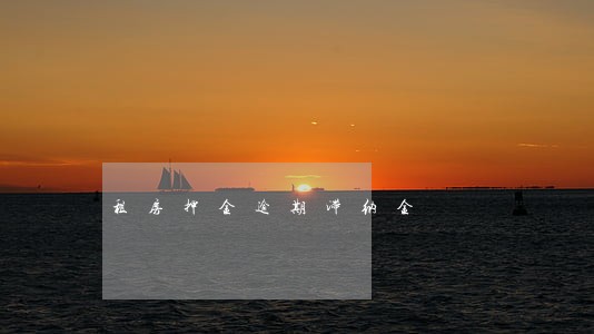 租房押金逾期滞纳金 租房押金逾期滞纳金
