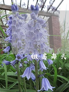 租房每天逾期滞纳金 租房每天逾期滞纳金