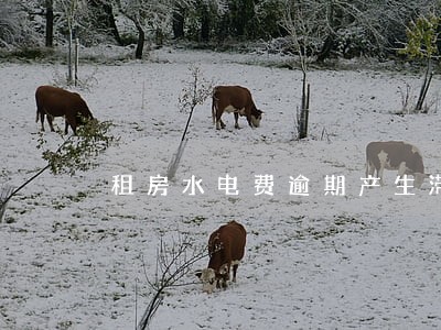 租房水电费逾期产生滞纳金 租房水电费逾期产生滞纳金