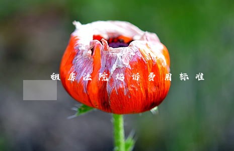租房法院起诉费用标准 租房法院起诉费用标准