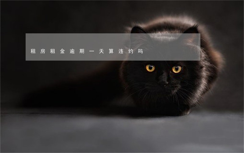 租房租金逾期一天算违约吗 租房租金逾期一天算违约吗