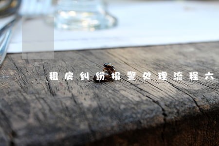 租房纠纷报警处理流程六安 租房纠纷报警处理流程六安