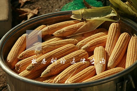 租房纠纷法律咨询 租房纠纷法律咨询
