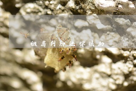 租房纠纷法律援助 租房纠纷法律援助
