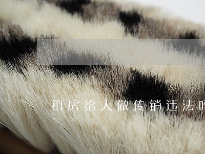 租房给人做传销违法吗 租房给人做传销违法吗