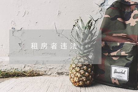 租房者违法