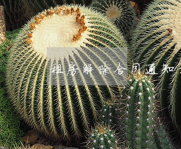 租房解除合同通知书逾期 租房解除合同通知书逾期