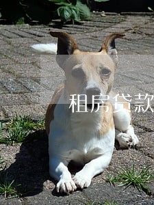 租房贷款逾期3天有影响吗 租房贷款逾期3天有影响吗