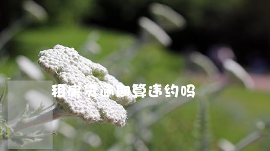 租房贷逾期算违约吗 租房贷逾期算违约吗