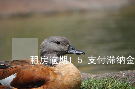 租房逾期15支付滞纳金怎么办 租房逾期15支付滞纳金怎么办