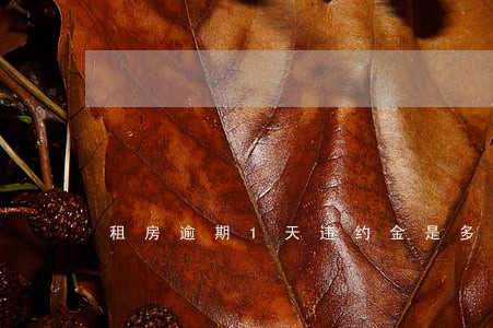 租房逾期1天违约金是多少