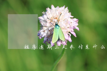租房逾期三天未付是什么意思